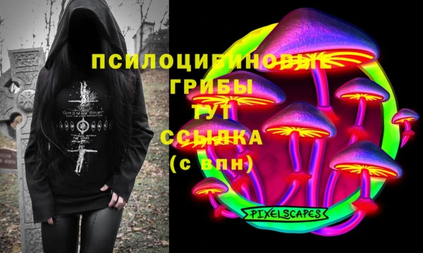 ECSTASY Липки