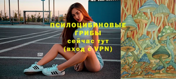 2c-b Лиски