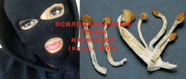 2c-b Лиски