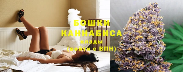 спиды Лагань