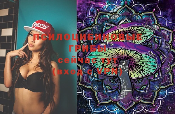ECSTASY Липки