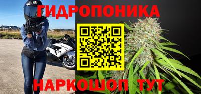 сатива Волгодонск