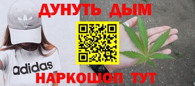 сатива Волгодонск