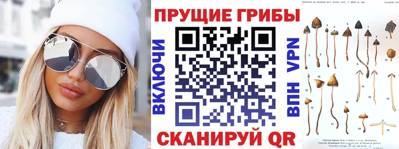 Псилоцибиновые грибы Magic Shrooms  Кострома 