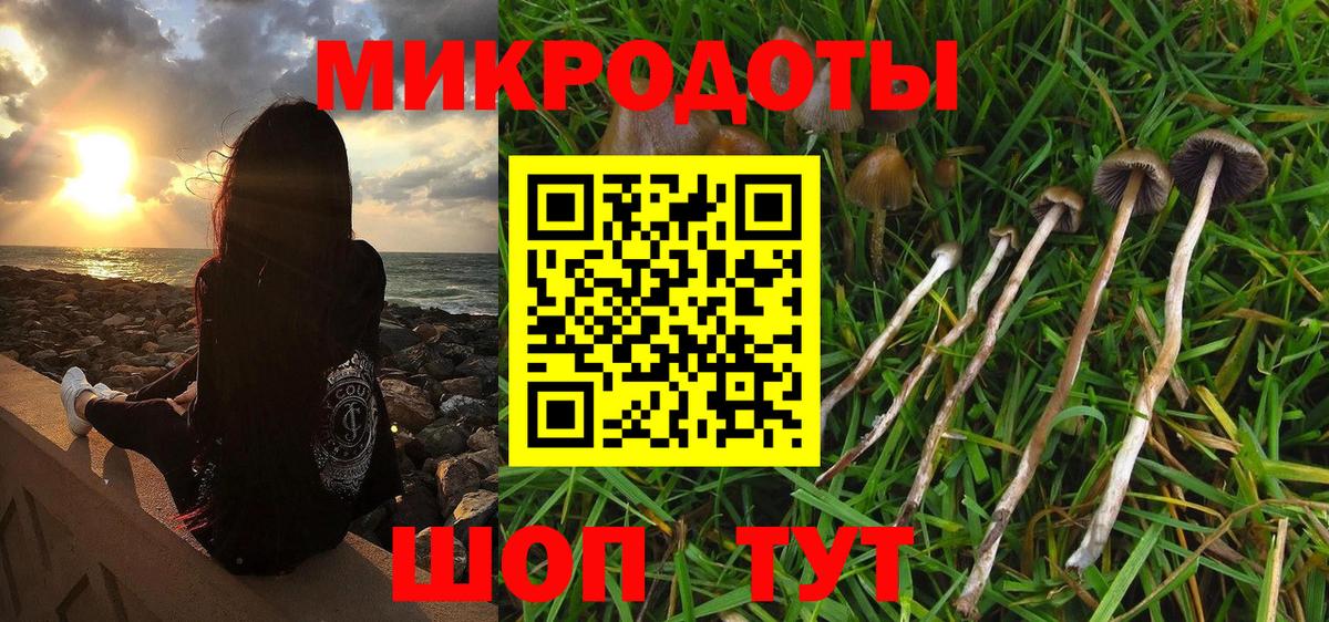 Галлюциногенные грибы GOLDEN TEACHER  Кострома 