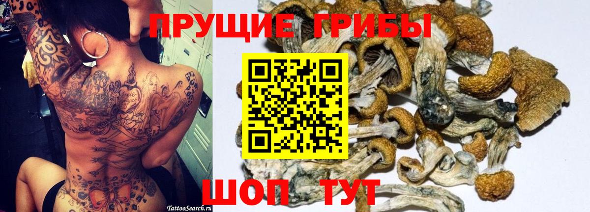 Псилоцибиновые грибы Magic Shrooms  Псилоцибиновые грибы MAGIC MUSHROOMS  Вход с VPN  Кострома 